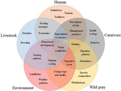 Improving Human-Lion Conflict Research Through Interdisciplinarity